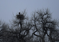 DSC_3857_edited