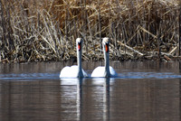 DSC_0673_edited