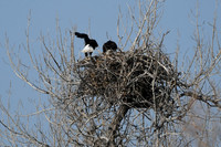 DSC_3576_edited