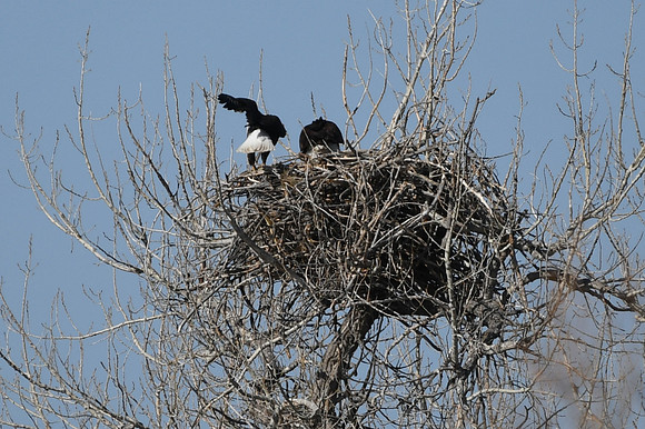 DSC_3576_edited