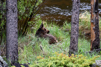 DSC_0848_edited