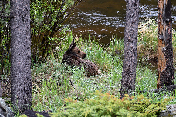 DSC_0848_edited