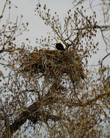 DSC_4560_edited