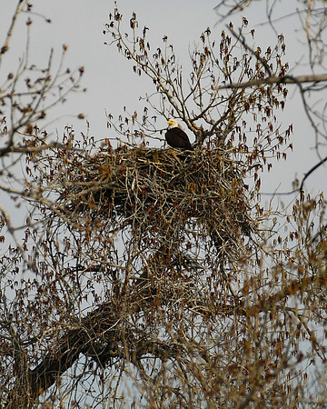 DSC_4560_edited