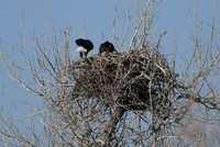 DSC_3578_edited