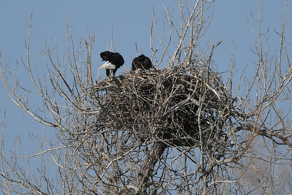 DSC_3578_edited