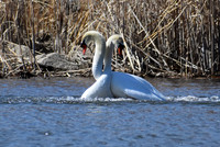 DSC_0714_edited