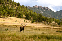 DSC_2772_edited_edited