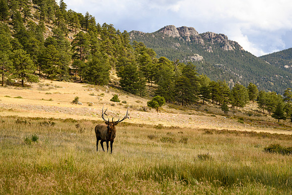 DSC_2772_edited_edited