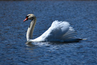 DSC_0751_edited