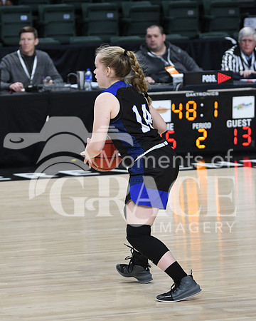 DSC_8895_edited