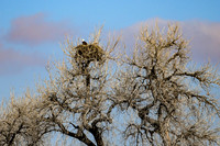 DSC_8235_edited