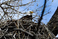 DSC_4792_edited-1