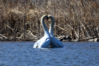 DSC_0720_edited