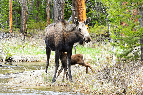 DSC_6876_edited