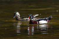 DSC_0714_edited