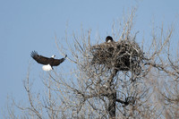 DSC_3566_edited