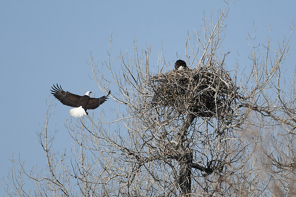 DSC_3566_edited