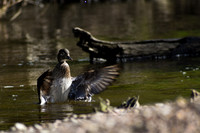 DSC_0057_edited