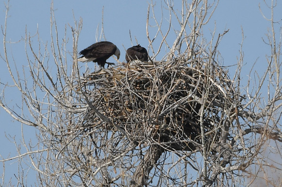 DSC_3596_edited