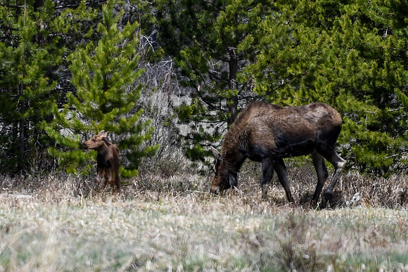 DSC_6620_edited