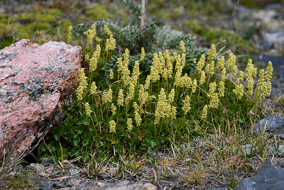 DSC_5935_edited