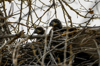 DSC_4517_edited