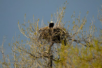 DSC_5744_edited