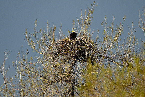 DSC_5744_edited