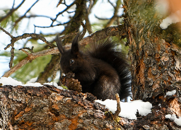 DSC_5231_edited
