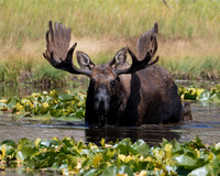 DSC_5252_edited.2