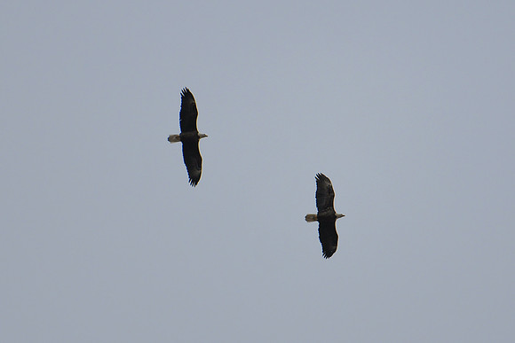 DSC_4013_edited