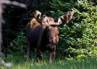 DSC_3507_edited~2