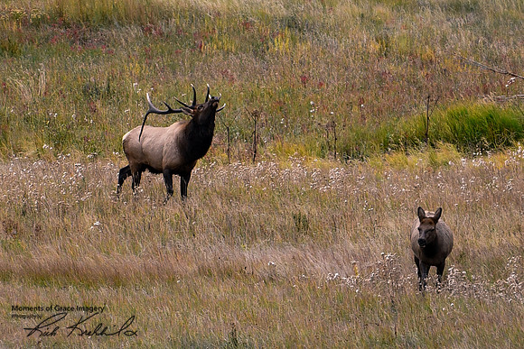 DSC_4098_edited