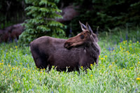DSC_3079_edited