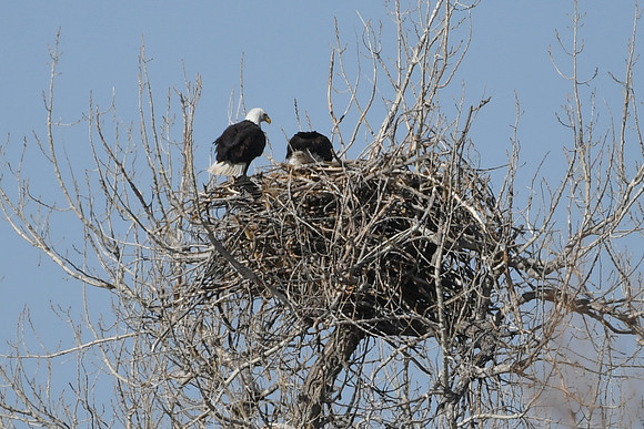 DSC_3587_edited