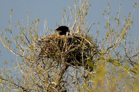 DSC_5806_edited
