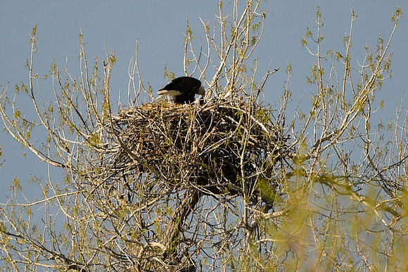 DSC_5806_edited