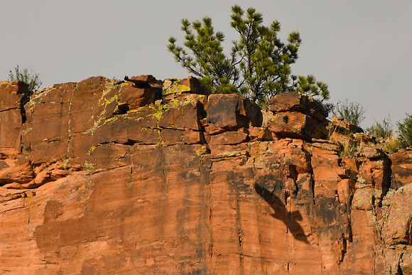 DSC_5535_edited