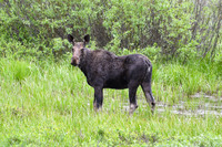 DSC_4398_edited