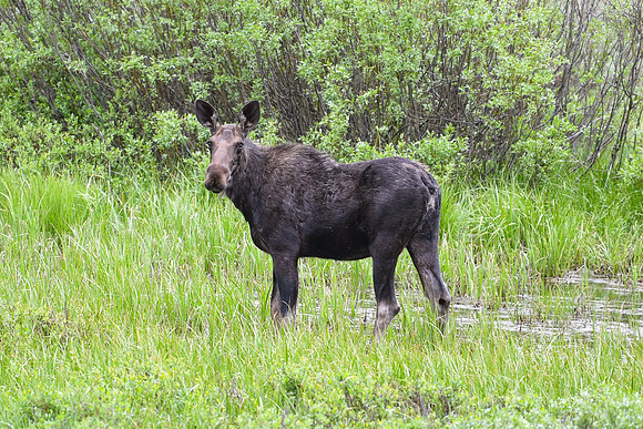 DSC_4398_edited