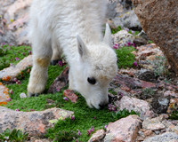 DSC_4308_edited-8x10