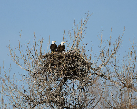 DSC_1457_edited