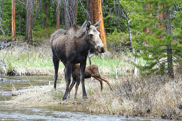 DSC_6862_edited