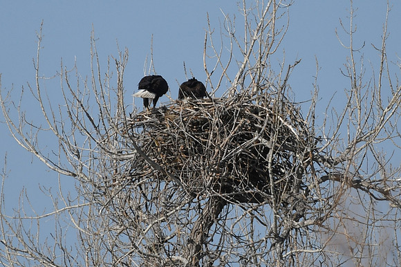 DSC_3579_edited