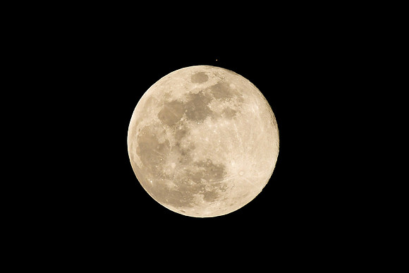 DSC_4800_edited
