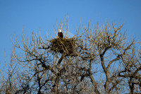 DSC_8421_edited