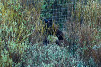 DSC_8896_edited