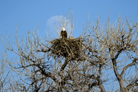 DSC_8482_edited