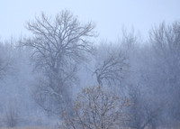 DSC_3870_edited